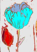 Tulipe bleue et rouge