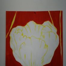 d306_tulipe_blanche_sur_fond_rouge.jpg