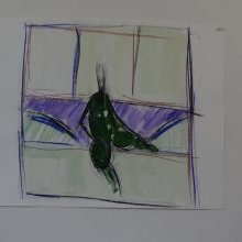 d_551.jpg